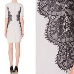 NWT - Scandal Collection - Gray dress, lace detail